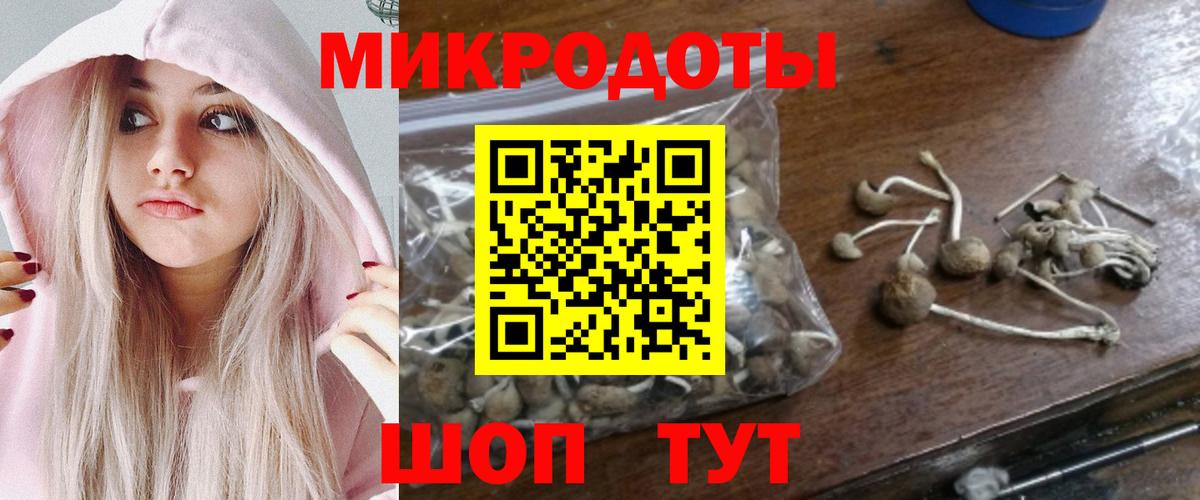 Псилоцибиновые грибы MAGIC MUSHROOMS  Вход с VPN  Псилоцибиновые грибы мицелий  Торжок 