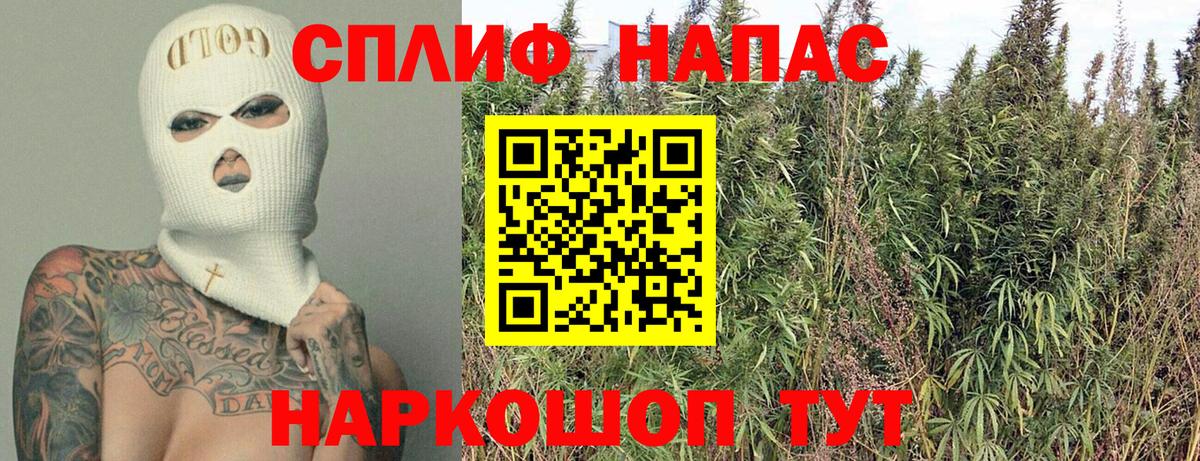 МАРИХУАНА конопля Торжок